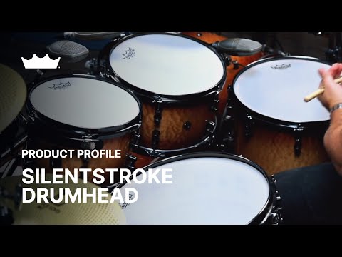 Remo Silentstroke 16" Mesh Drum Head-zoom-