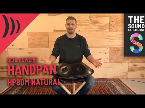 Schlagwerk HP8DM Handpan Natural D Kurd-zoom-
