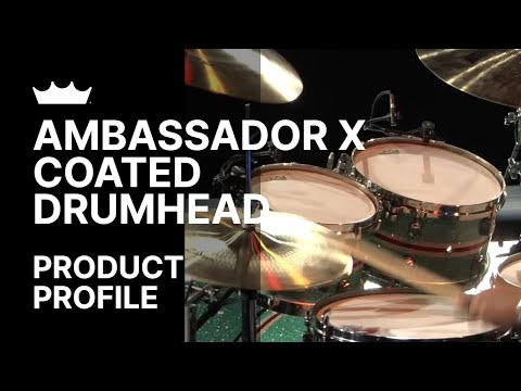 Remo Ambassador X Coated 14" Drum Head USA-zoom-